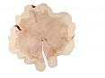 Sequoia 90cm doorsnede