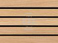 20x28mm
