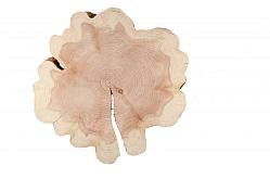 Sequoia 90cm doorsnede